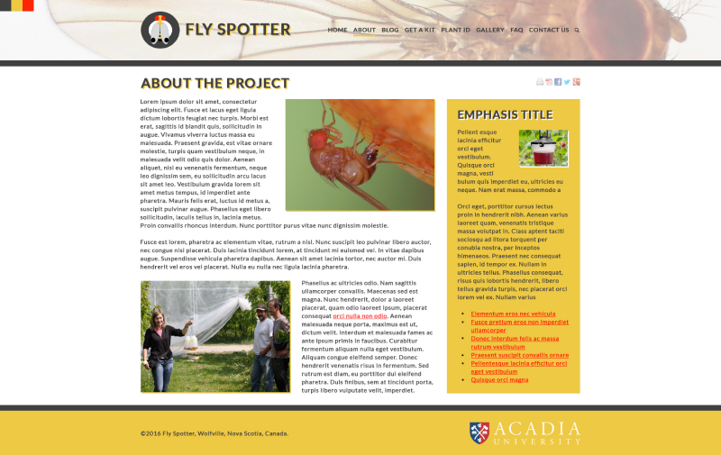 Fly Spotter Subpage